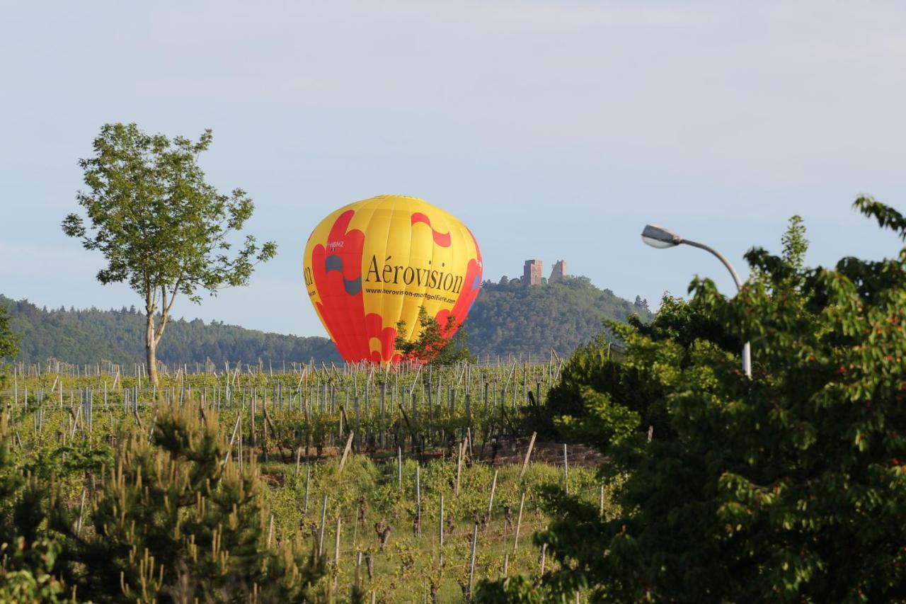 La Belle Alsacienne - Route Des Vins D'Alsace Hotel Hattstatt Quarto foto
