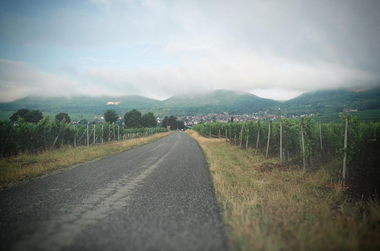 La Belle Alsacienne - Route Des Vins D'Alsace Hotel Hattstatt Exterior foto